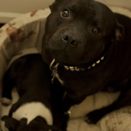 Le Di Via Ottaviano - In B&B 로마