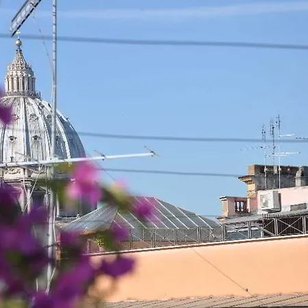 Le Di Via Ottaviano - In